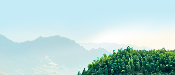 玖鼎集团·(中国区)有限公司官网