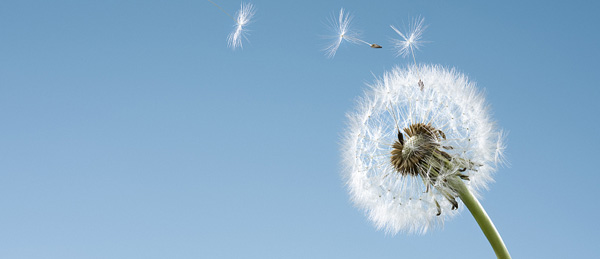 玖鼎集团·(中国区)有限公司官网