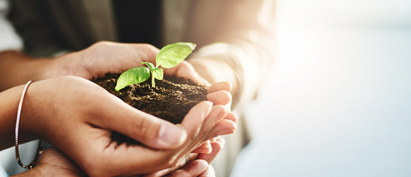 玖鼎集团·(中国区)有限公司官网